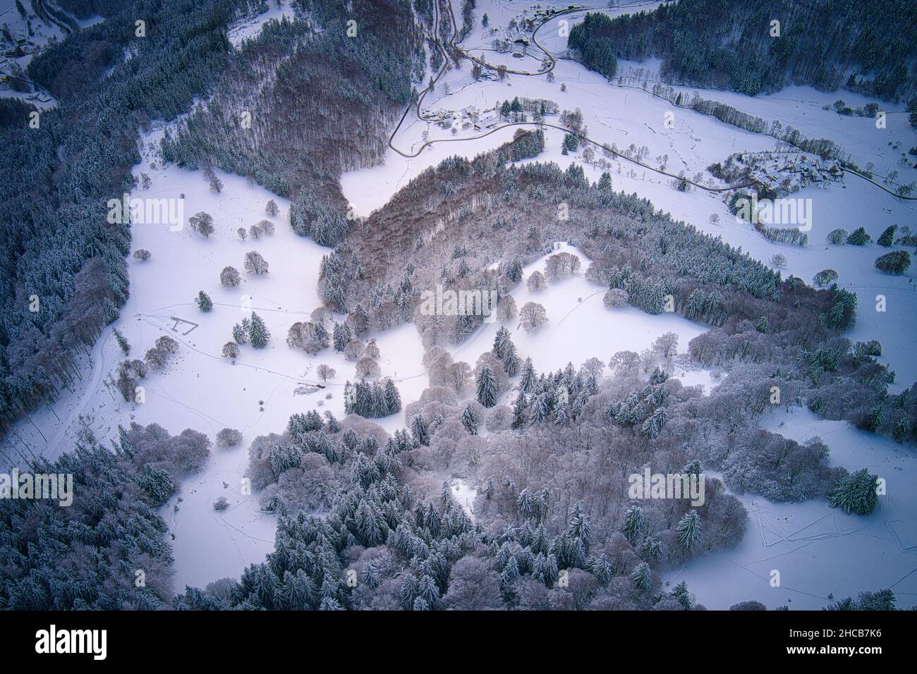 BELCHENGIPFEL BEI Münstertal IM SCHWARZWALD Foresta Nera Foto Stock