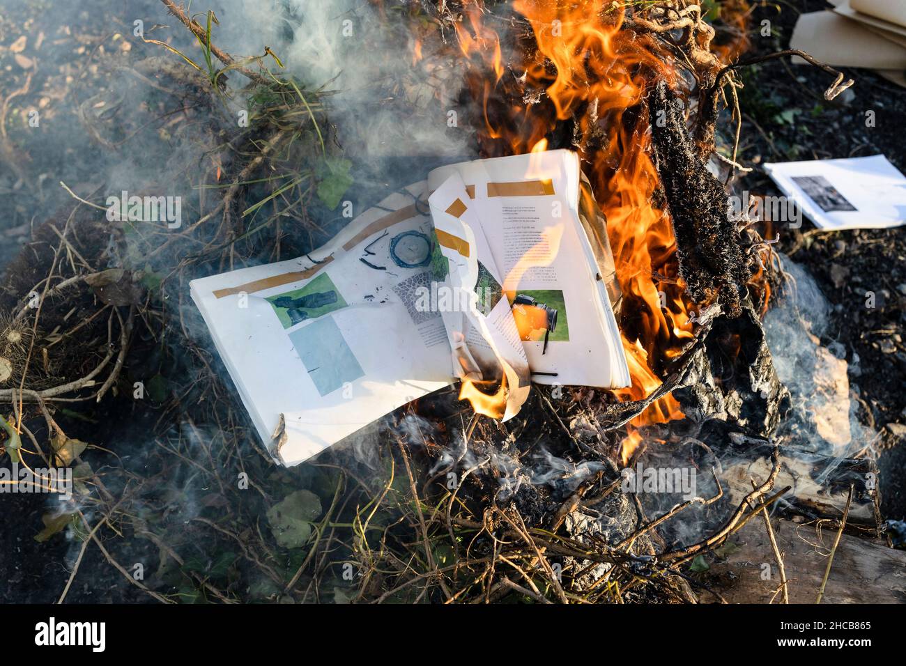 libro di testo bruciante sulla fotografia in fuoco su mucchio di rami rifiniti in giardino di campagna in giorno di sole Foto Stock