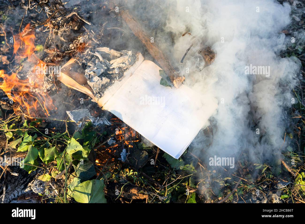 bruciando il libro in fuoco su palo di rami rifiniti in giardino di campagna in giorno di sole Foto Stock
