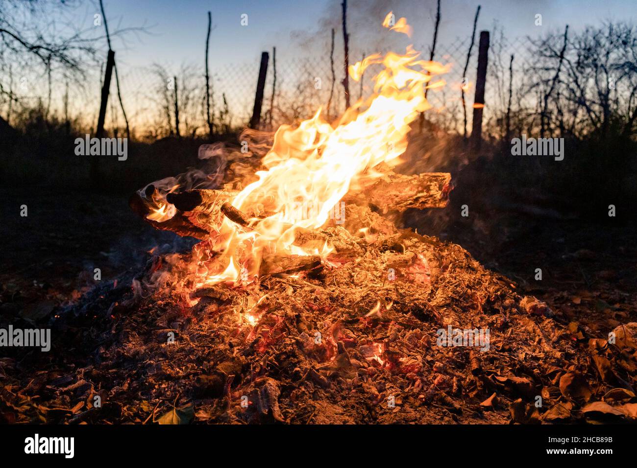 fuoco brucia su tronchi di legno su cenere calda in giardino al crepuscolo Foto Stock