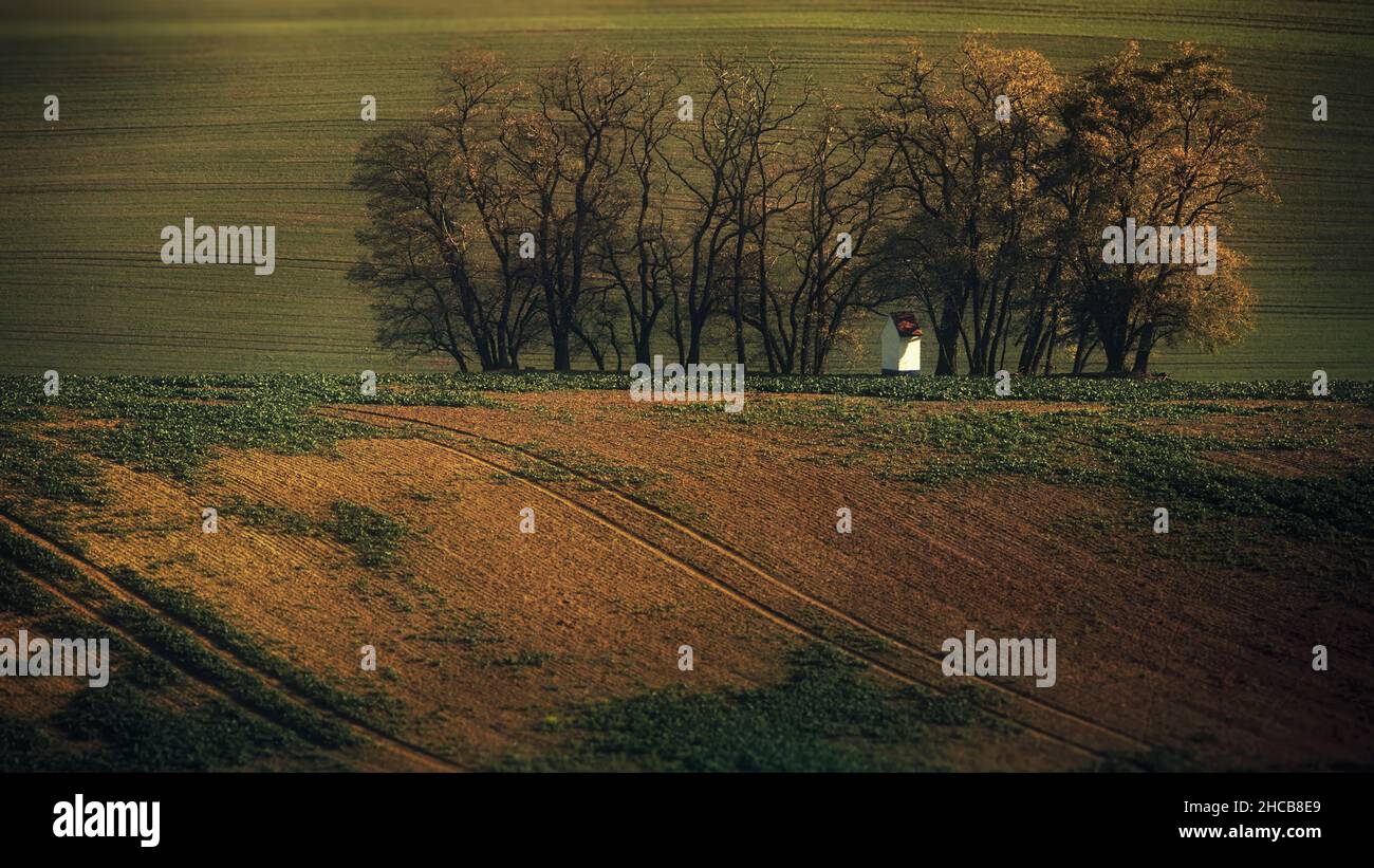 Campi di Moravia, Repubblica Ceca Foto Stock