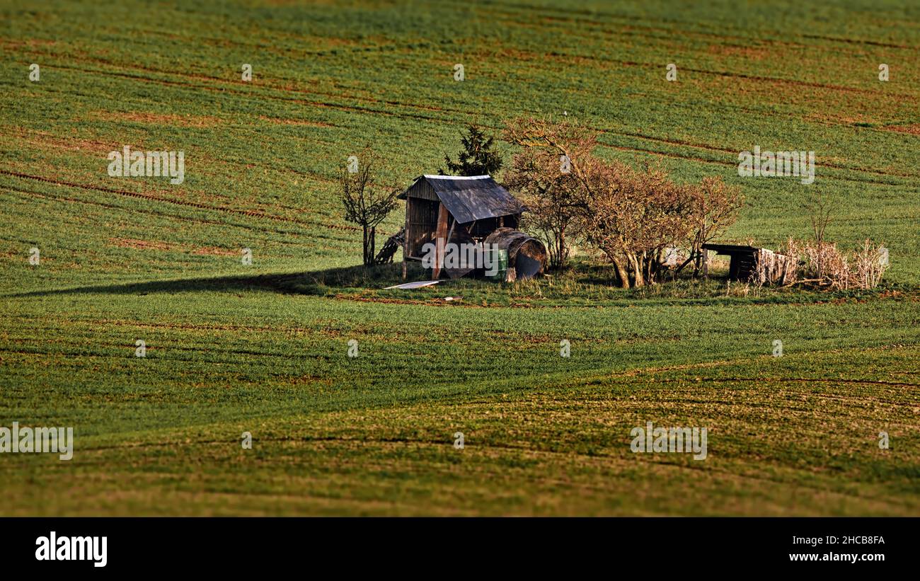 Campi di Moravia, Repubblica Ceca Foto Stock