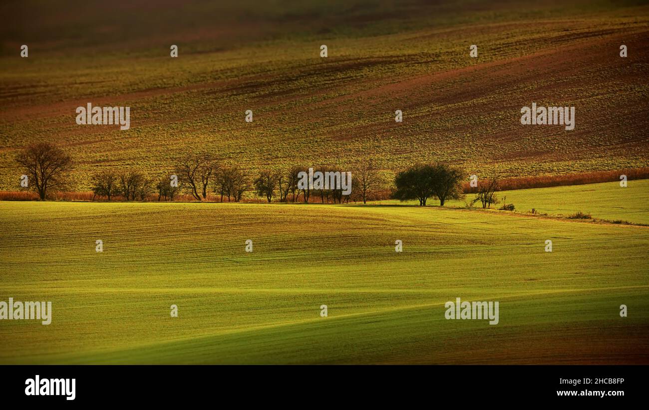 Campi di Moravia, Repubblica Ceca Foto Stock