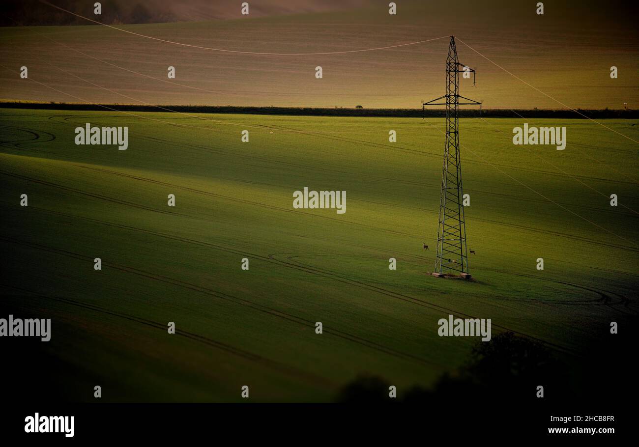 Campi di Moravia, Repubblica Ceca Foto Stock