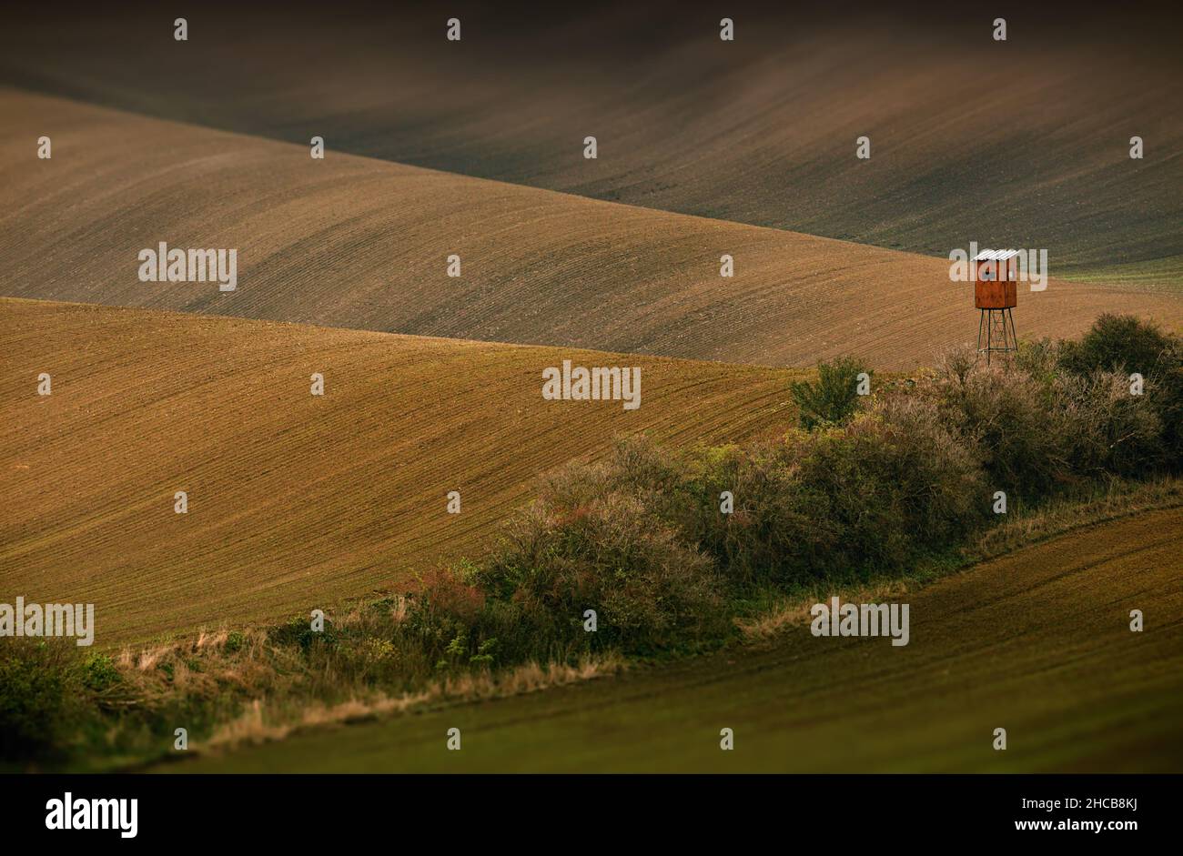 Campi di Moravia, Repubblica Ceca Foto Stock