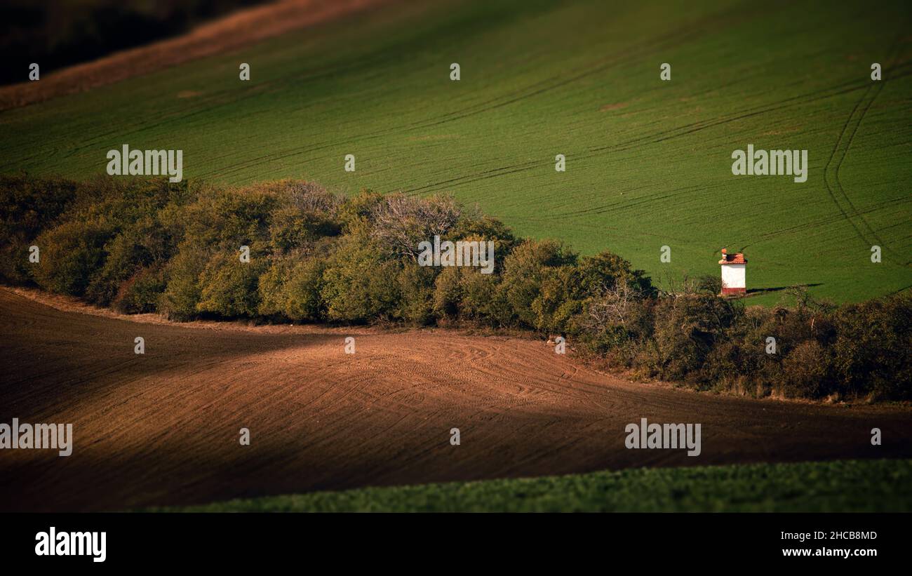 Campi di Moravia, Repubblica Ceca Foto Stock