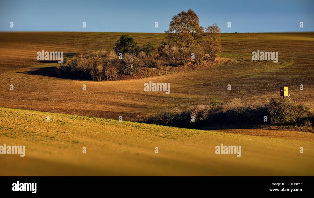 Campi di Moravia, Repubblica Ceca Foto Stock