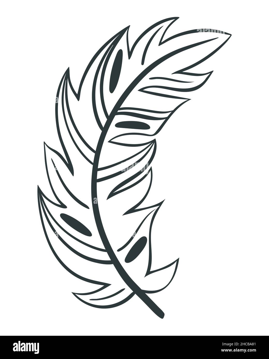 Curva bella piuma d'uccello illustrazione vettoriale Illustrazione Vettoriale