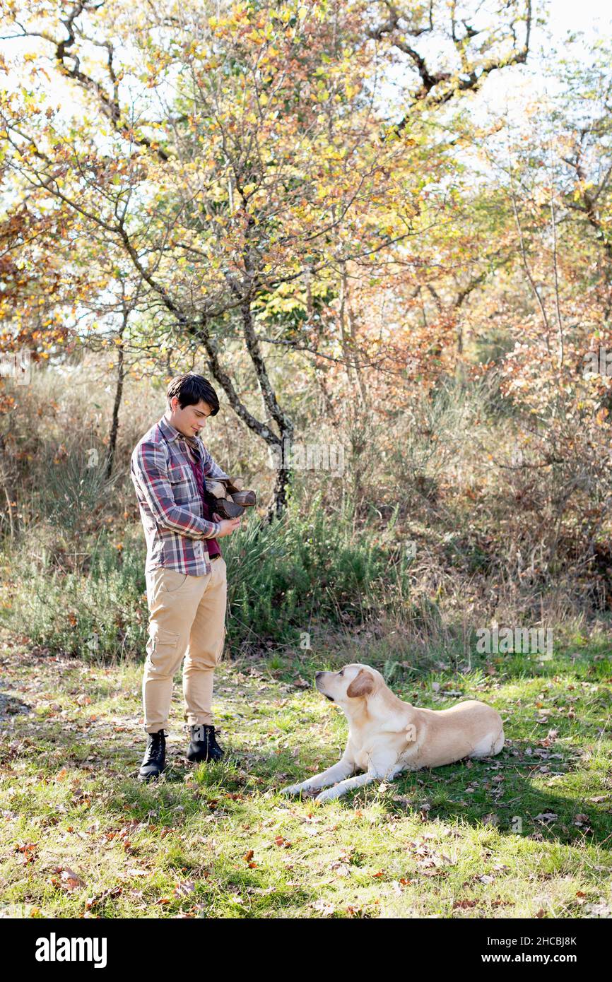 Giovane uomo con legna da ardere che guarda Labrador Retriever in autunno foresta Foto Stock