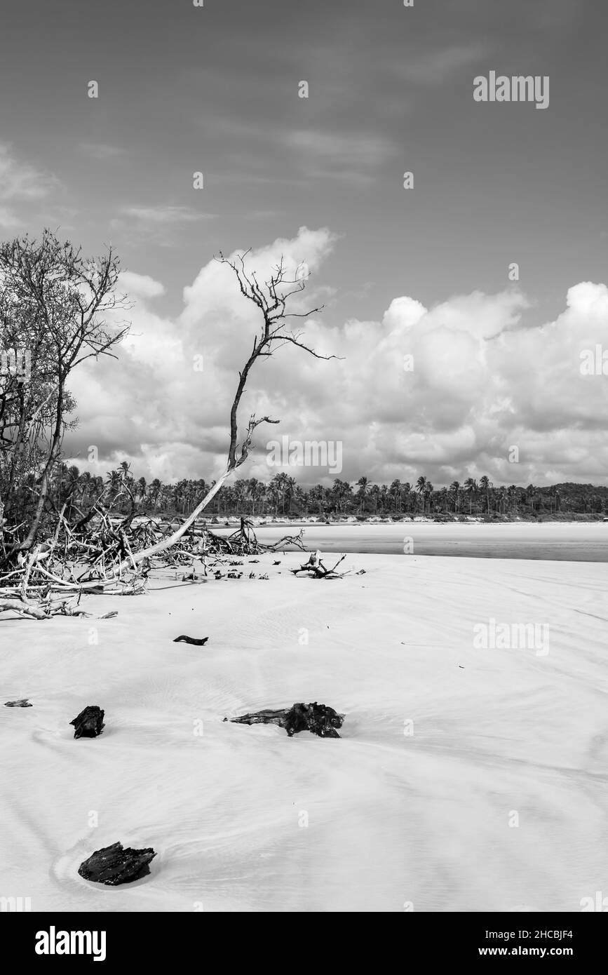 Foto in bianco e nero del paesaggio desertico nel nord-est del Brasile Foto Stock