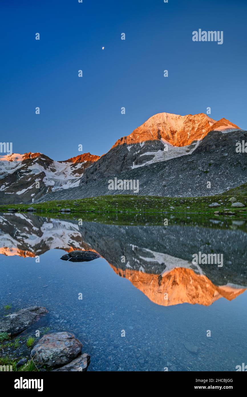 Konigspitze riflette sulla superficie del lago chiaro al crepuscolo Foto Stock