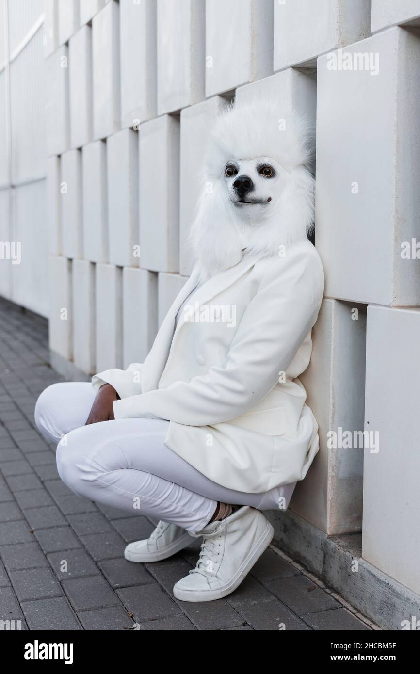 Donna che indossa maschera di cane accovacciamento di fronte al muro Foto Stock