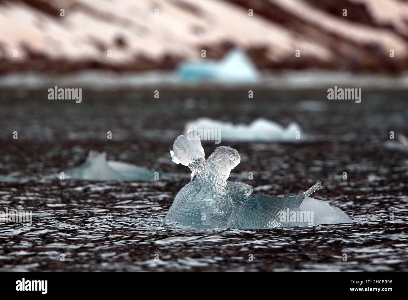 Primo piano di ghiacciai galleggianti nell'oceano in una fredda giornata invernale a Svalbard Foto Stock