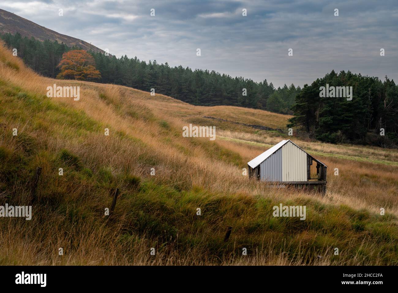 Capannone in un campo con colori autum Foto Stock