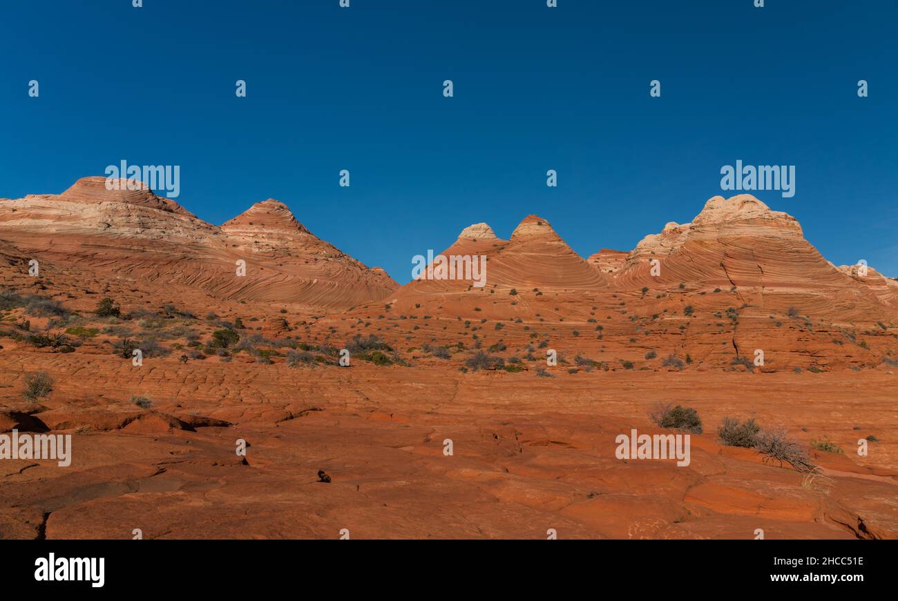 Famoso pendio di Coyote Butte nelle scogliere di Paria Canyon-Vermilion, Arizona, USA Foto Stock