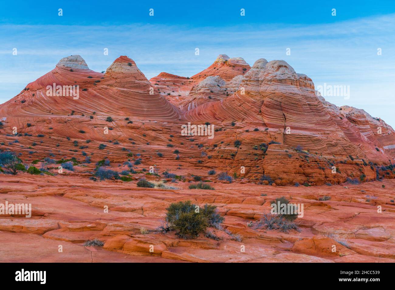Famoso pendio di Coyote Butte nelle scogliere di Paria Canyon-Vermilion, Arizona, USA Foto Stock