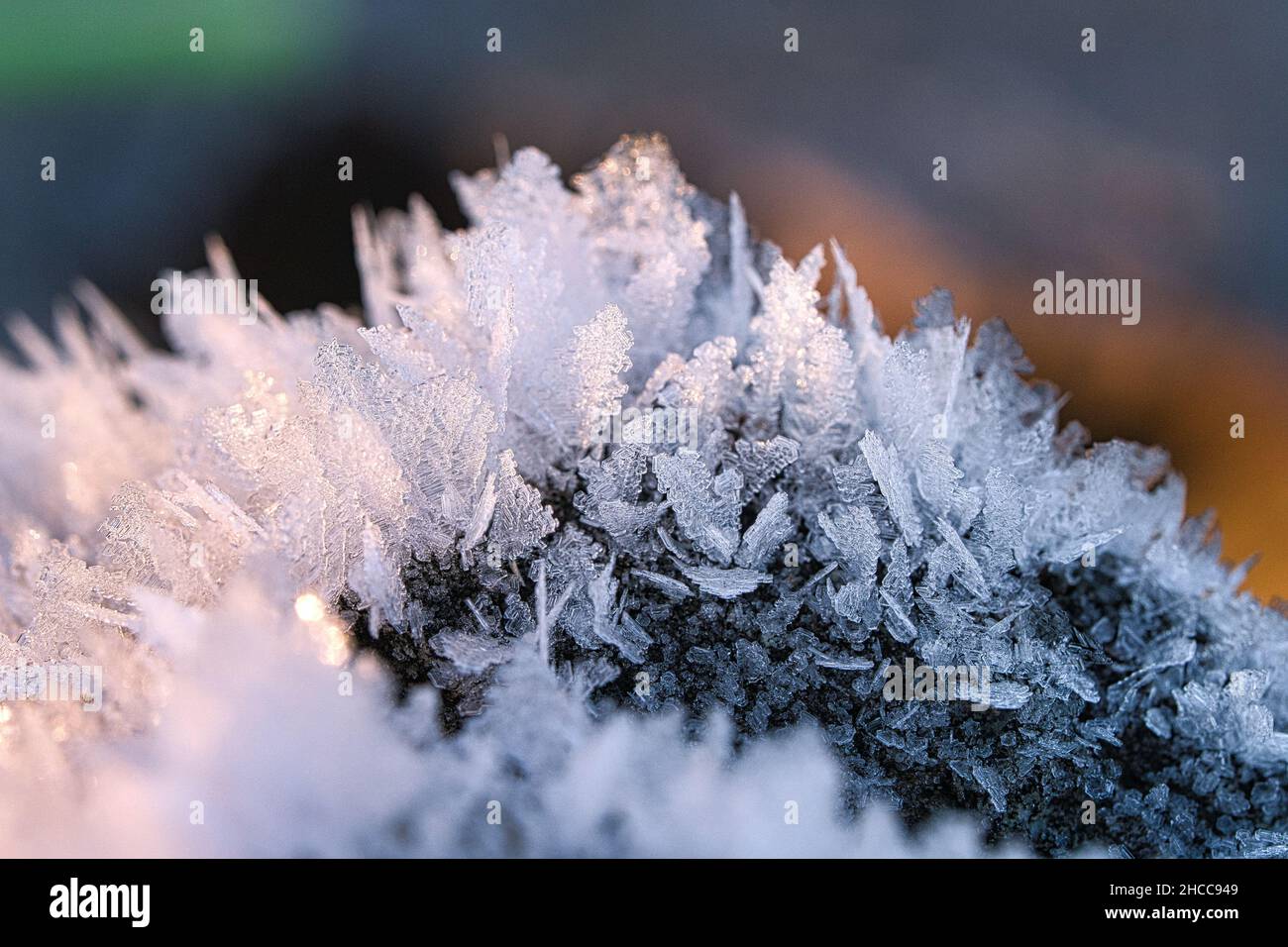 Cristalli di ghiaccio che si sono formati su un tronco di albero e sono cresciuti in altezza. Scatto invernale da Brandeburgo Foto Stock