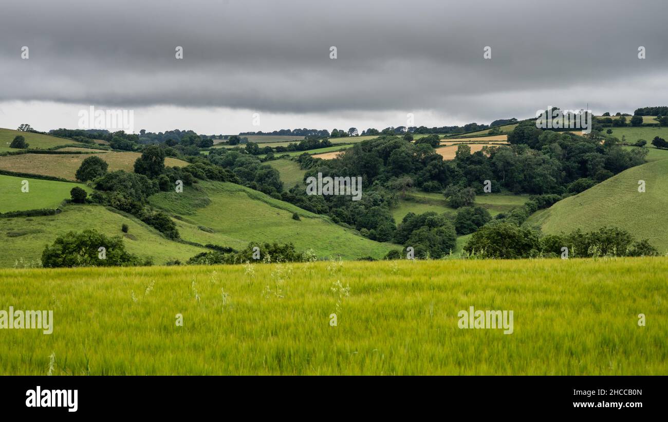 Gli alberi e i campi coprono le colline verdi e ondulate delle Cotswolds inglesi a nord di Bath nel Gloucestershire del Sud. Foto Stock