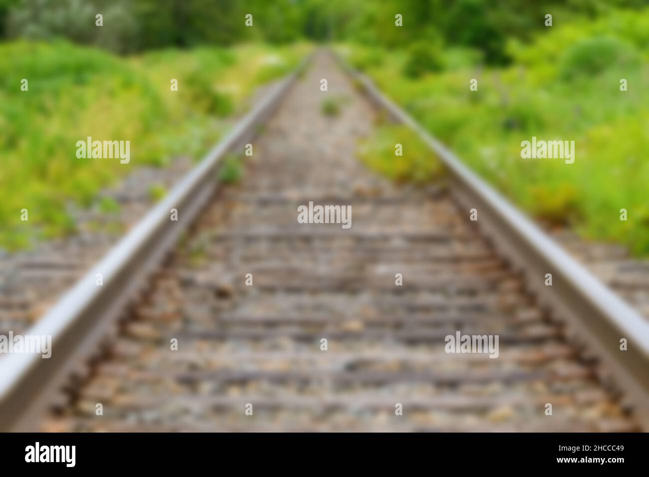 Sfocatura di fondo dei binari del treno che si rifettono nella distanza attraverso la vegetazione. Primo piano con vista ad angolo basso. Foto Stock