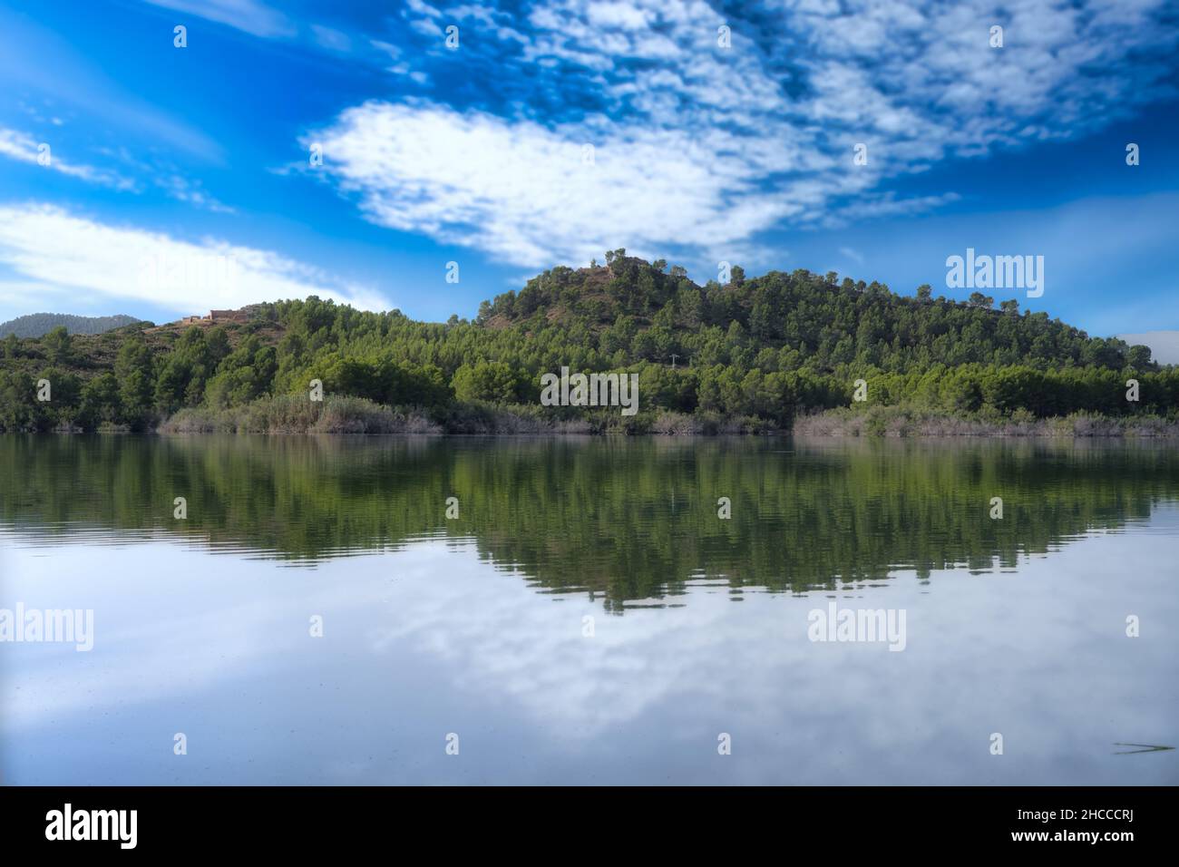 Vista naturale di un lago tranquillo con riflesso di una foresta e cielo sulla superficie Foto Stock