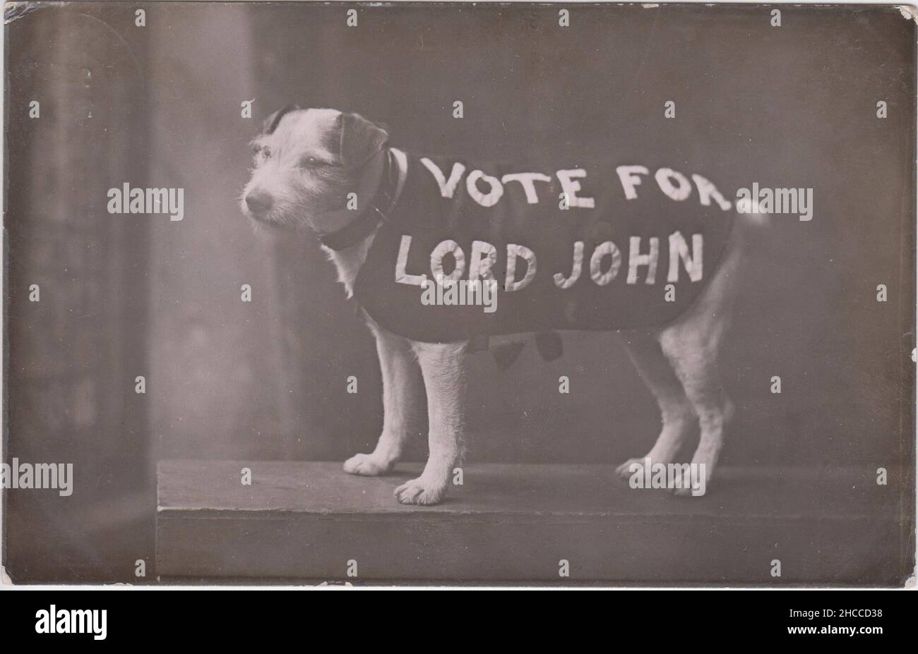 'Vota per Lord John', 1906: Fotografia di tipo Jack Russell terrier vestito in una giacca con uno slogan elettioneering scritto sopra. La campagna è stata per le elezioni generali del 1906 e si riferisce alla candidatura di Lord John Pakenham Joicey-Cecil, candidato del Partito conservatore per Stamford, Lincolnshire. Il figlio di William Cecil, 3rd marchese di Exeter, ebbe successo e fu deputato del Parlamento tra il 1906-1910 Foto Stock