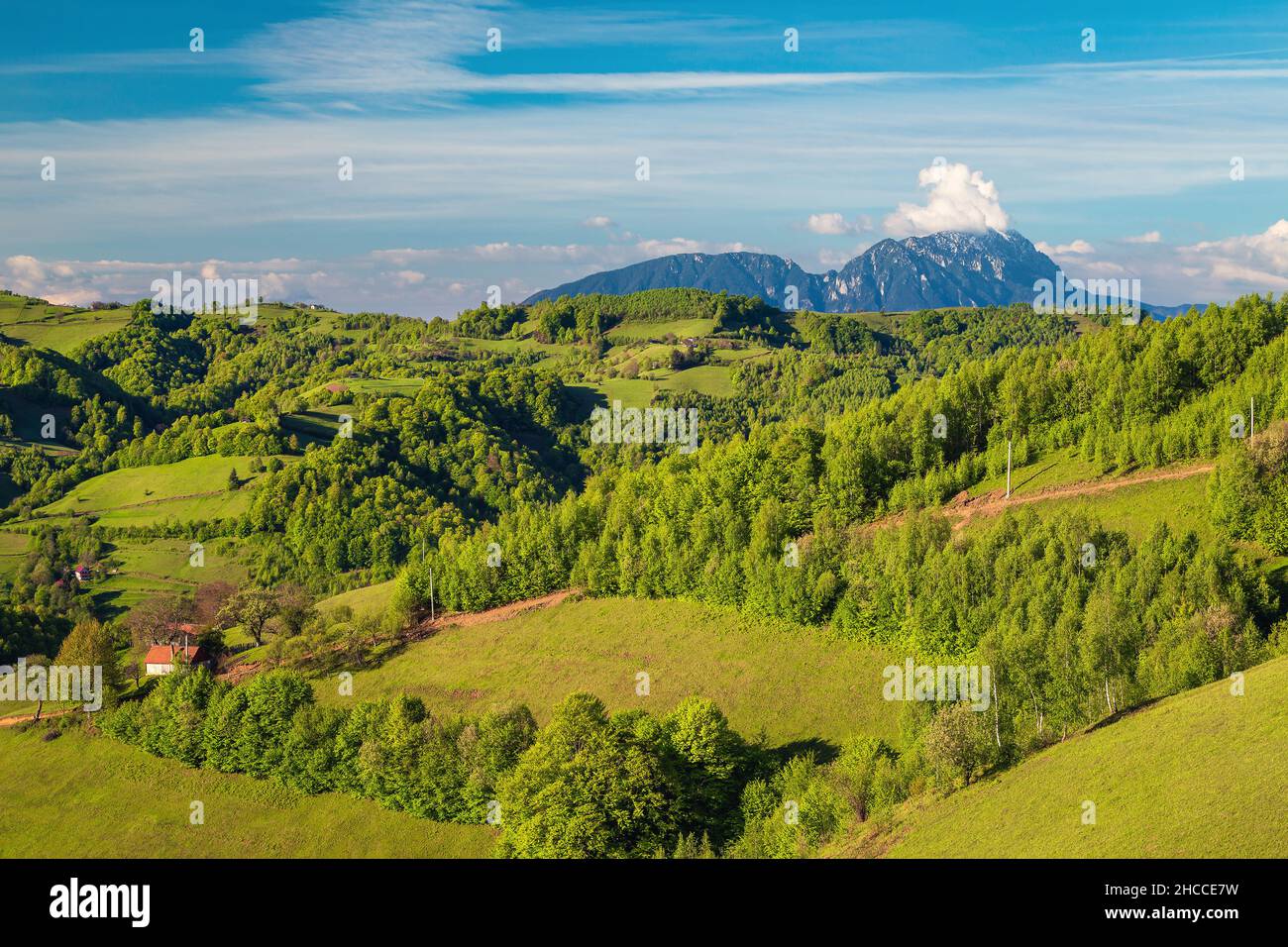 Fantastico paesaggio primaverile con foresta verde sulle colline e alte montagne sullo sfondo, villaggio di Holbav, Transilvania, Romania, Europa Foto Stock