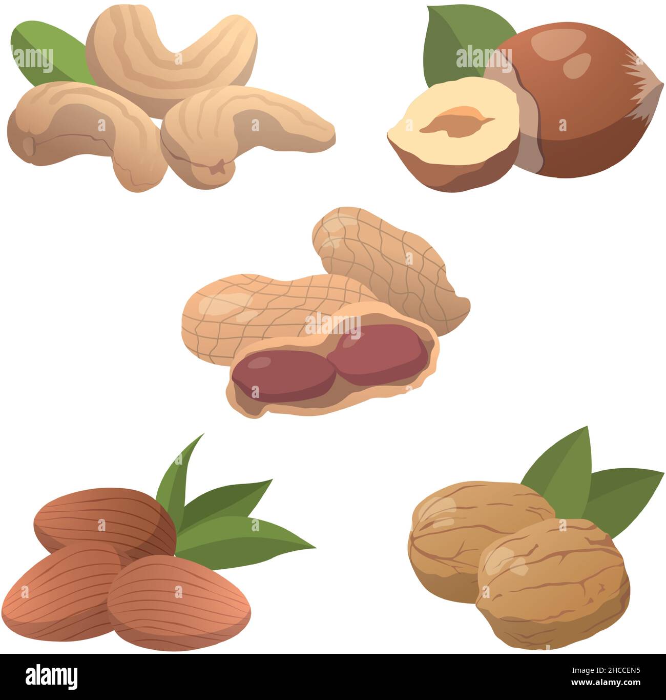 Set di 5 pezzi di diversi tipi di dadi su sfondo bianco - illustrazione vettoriale Illustrazione Vettoriale