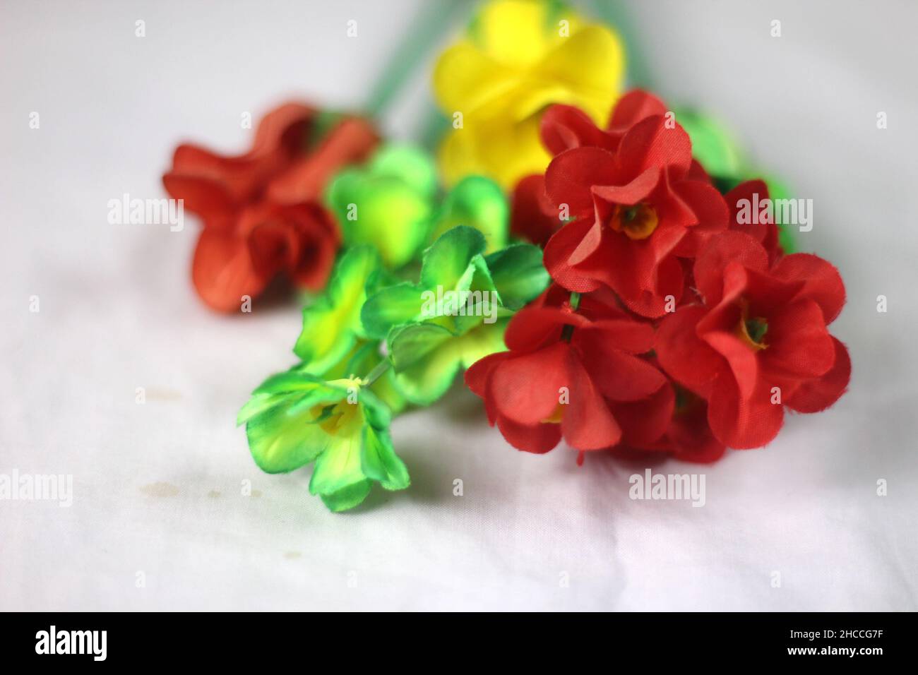 bellissimo fiore di giglio rosso con acqua Foto Stock