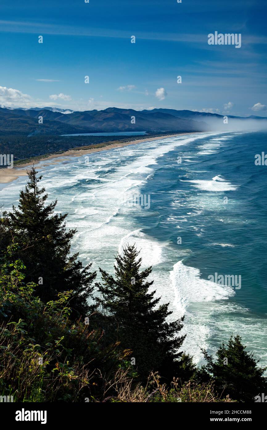 Le onde si infrangono sulla costa dell'Oregon, da Nehkahnie Mountain Overlook, Oregon USA Foto Stock