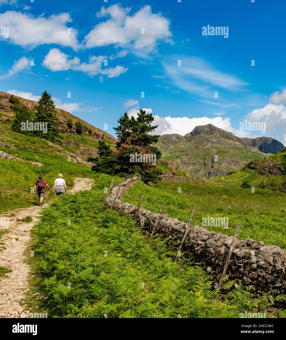 The Langdale Pikes, Lake District National Park, Cumbria, Regno Unito Foto Stock