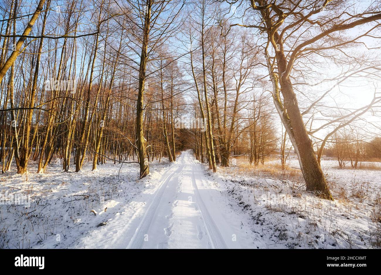 Bellissimo paesaggio invernale con strada di campagna. Foto Stock