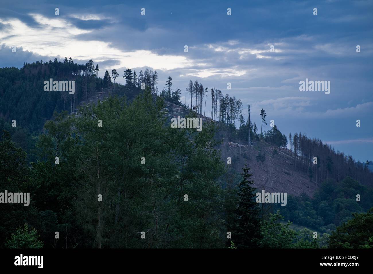 Montagna con alberi e un cielo nuvoloso su di esso Foto Stock