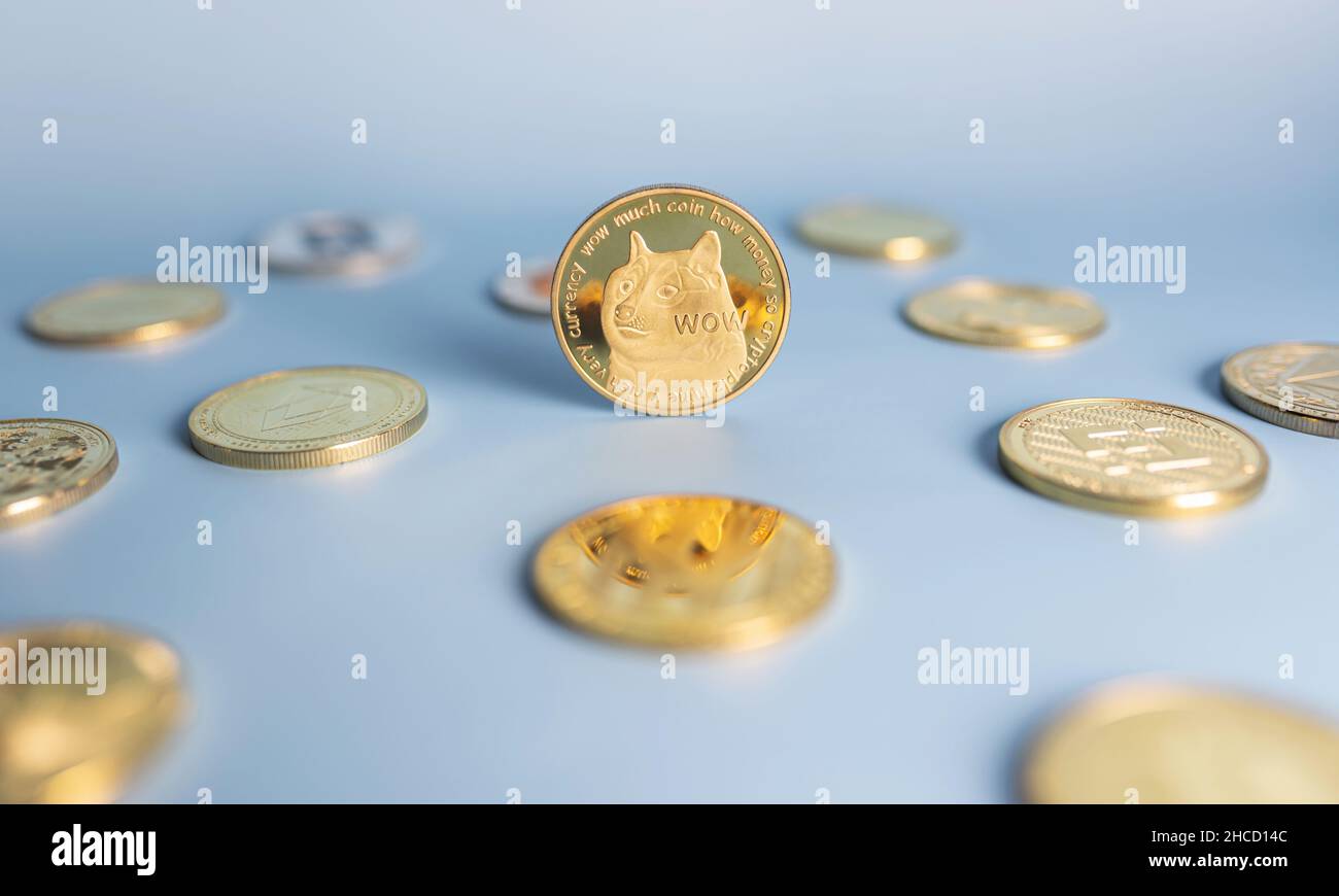 Moneta di meme Dogecoin in piedi in posizione centrale tra mazzo di monete cripto su sfondo blu. Banner con gettone doge dorato. Primo piano, messa a fuoco morbida. Foto Stock