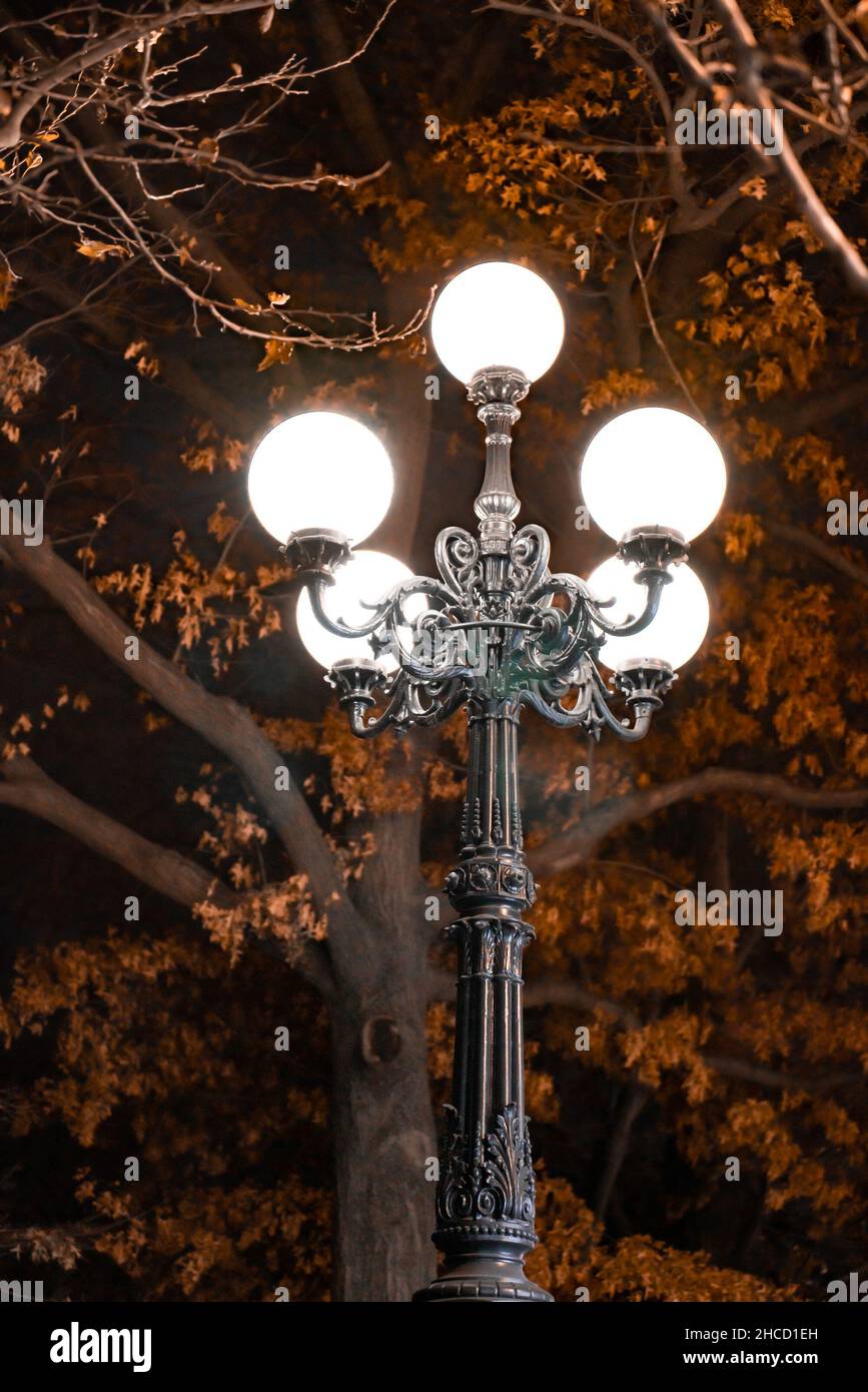 Lampada da strada in stile vintage vista contro gli alberi di caduta di notte Foto Stock