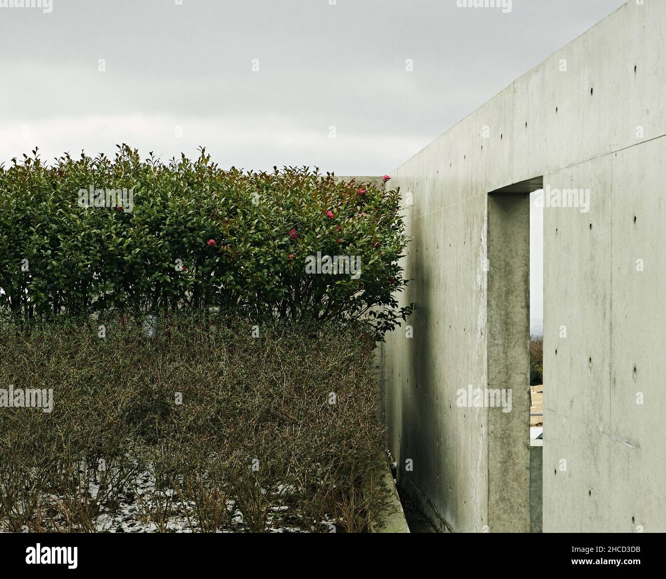 Muro di pietra bianca con una porta vicino a cespugli verdi Foto Stock