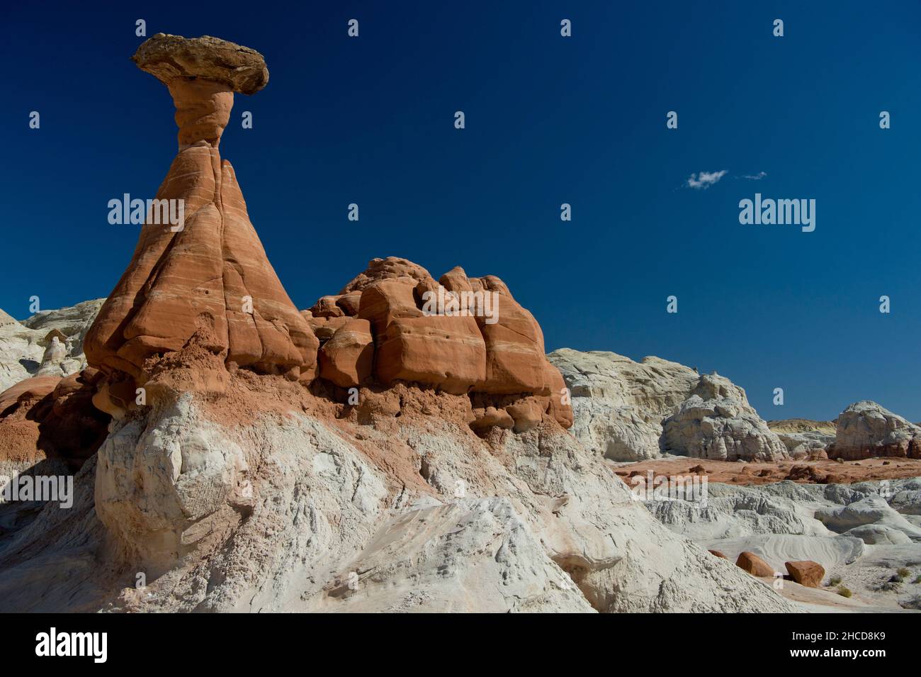 Sandstone Toadstool hoodoo, Grand Staircase - Escalante National Monument, Utah Foto Stock