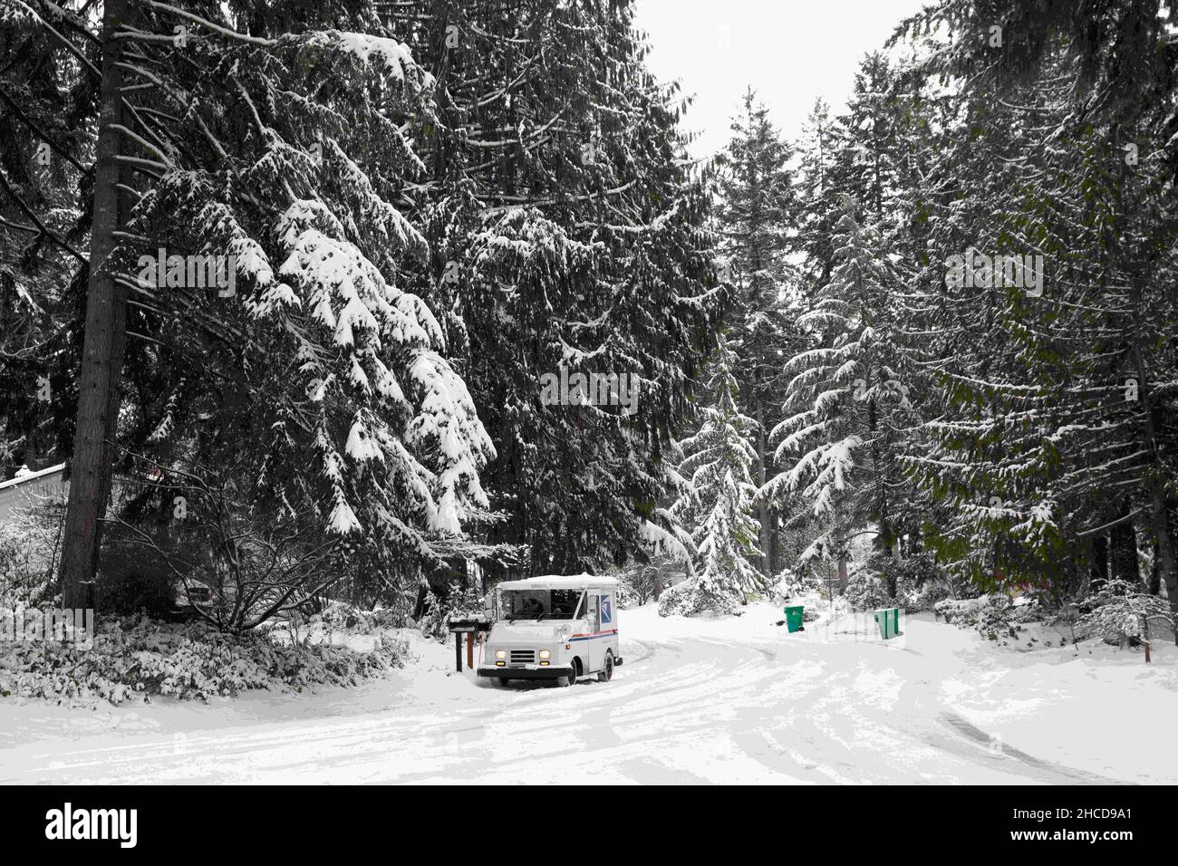 Olympia, Washington, Stati Uniti. 27th Dic 2021. Un operatore postale consegna la posta su una corsia nevosa nel quartiere di Ken Lake della capitale dello stato. Una nevicata significativa ha colpito le catene montuose della West Coast e l'Intermountain West, con un clima freddo record nel Pacifico nord-occidentale. (Credit Image: © Mark Avery/ZUMA Press Wire Service) Credit: ZUMA Press, Inc./Alamy Live News Foto Stock