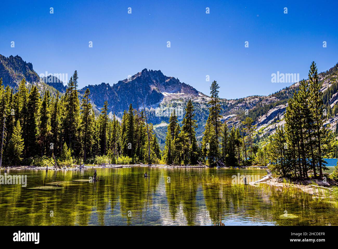 Alberi che si riflettono sulle calme acque del Lago di neve negli incantesimi della regione Alpine Lakes Wilderness delle Cascades, Washington, USA Foto Stock