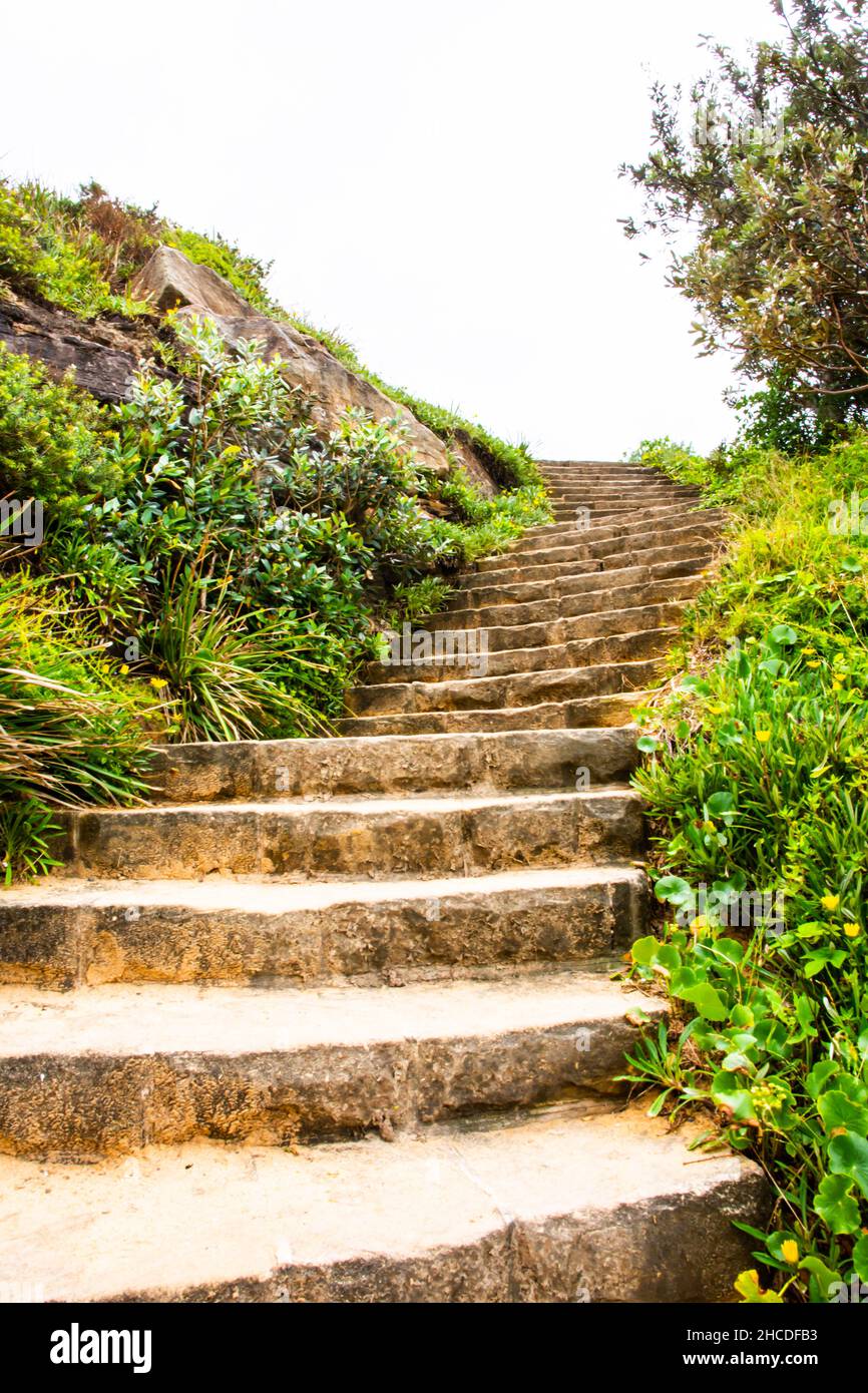 Volo di pochi passi da Turimetta Beach, nella periferia nord di Sydney. Foto Stock