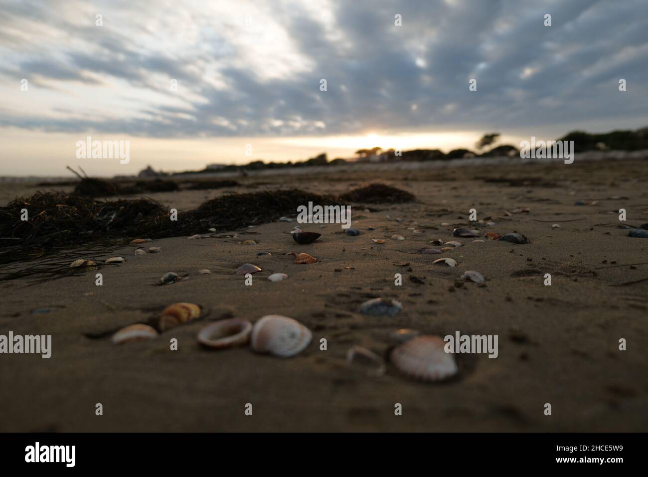 Scatto aereo della riva del mare pieno di pietre al tramonto Foto Stock
