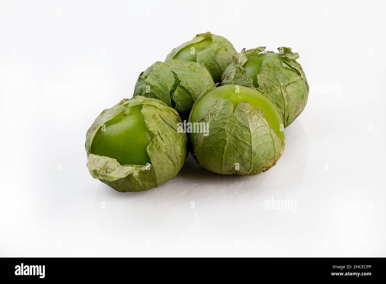 Tomatillos fresco isolato su uno sfondo bianco Foto Stock