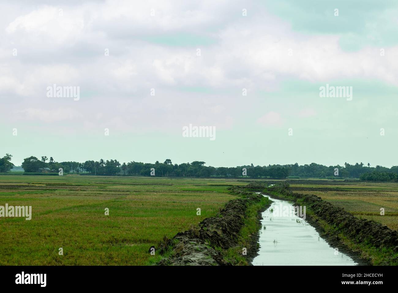Piccola linea d'acqua in un grande campo di raccolto, è un bel paesaggio Foto Stock