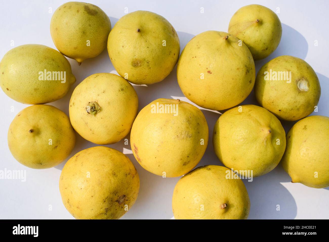 Limoni gialli freschi di grandi dimensioni disposti su sfondo bianco. Frutta indiana e verdura sfondo Foto Stock