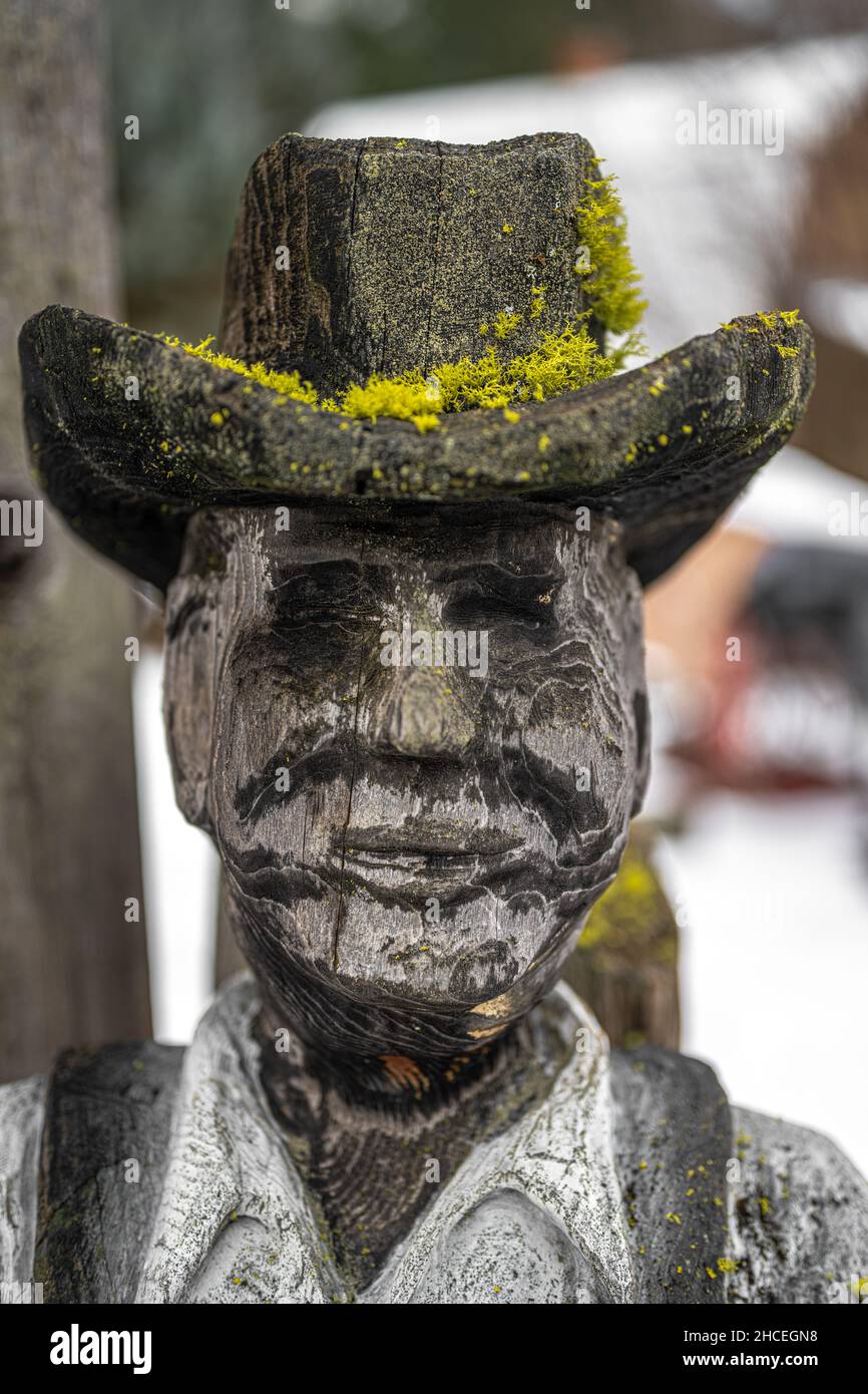 Wolf Lichen (Letharia vulpina) che cresce su testa di legno Foto Stock