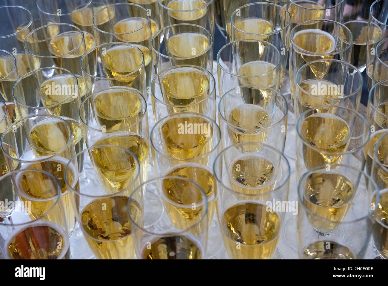Champagne. Un sacco di bicchieri di vino frizzante in attesa di un brindisi solenne. Foto Stock