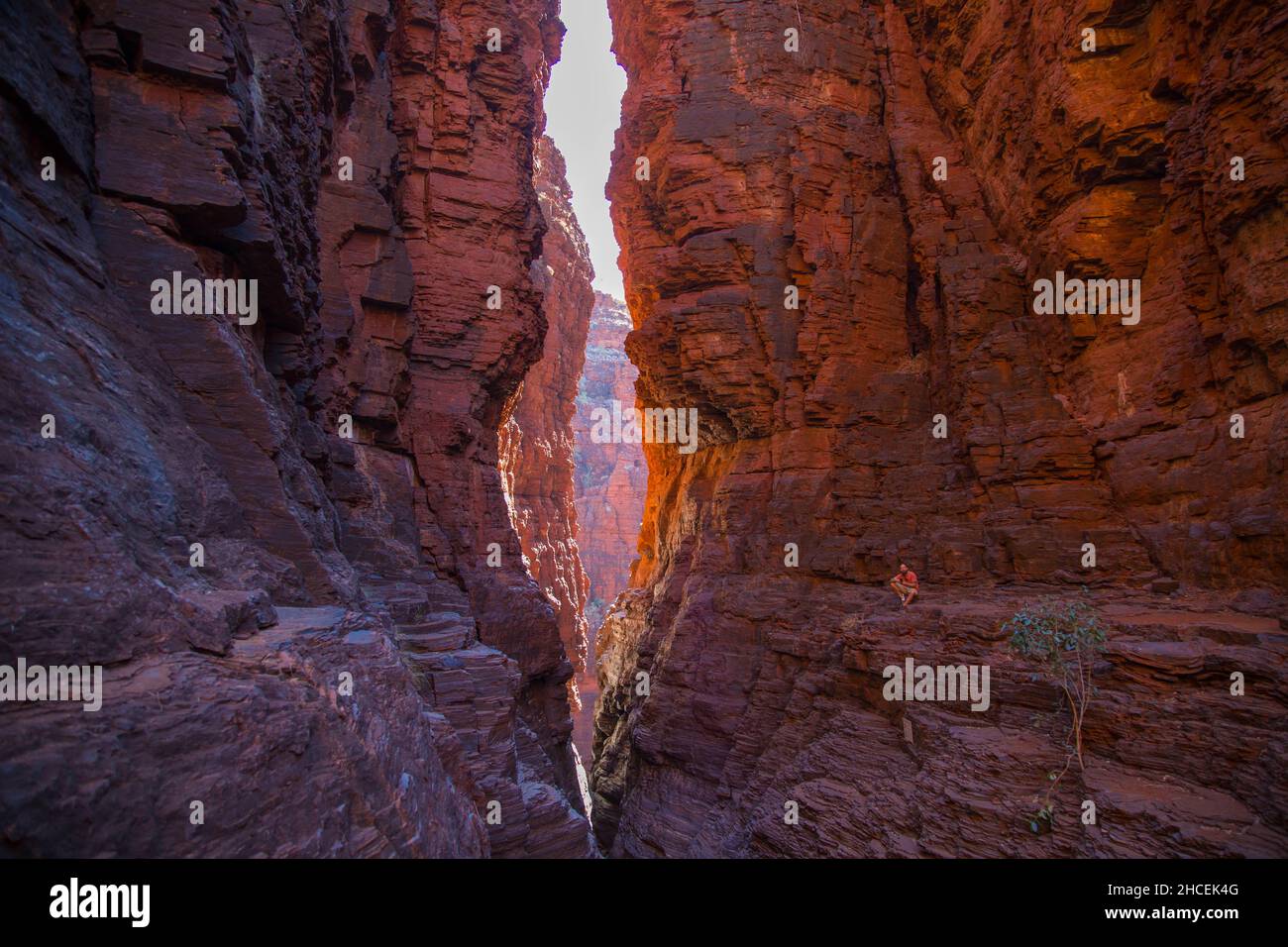 Un uomo da solo in un canyon rosso in Karaijini Australia Foto Stock