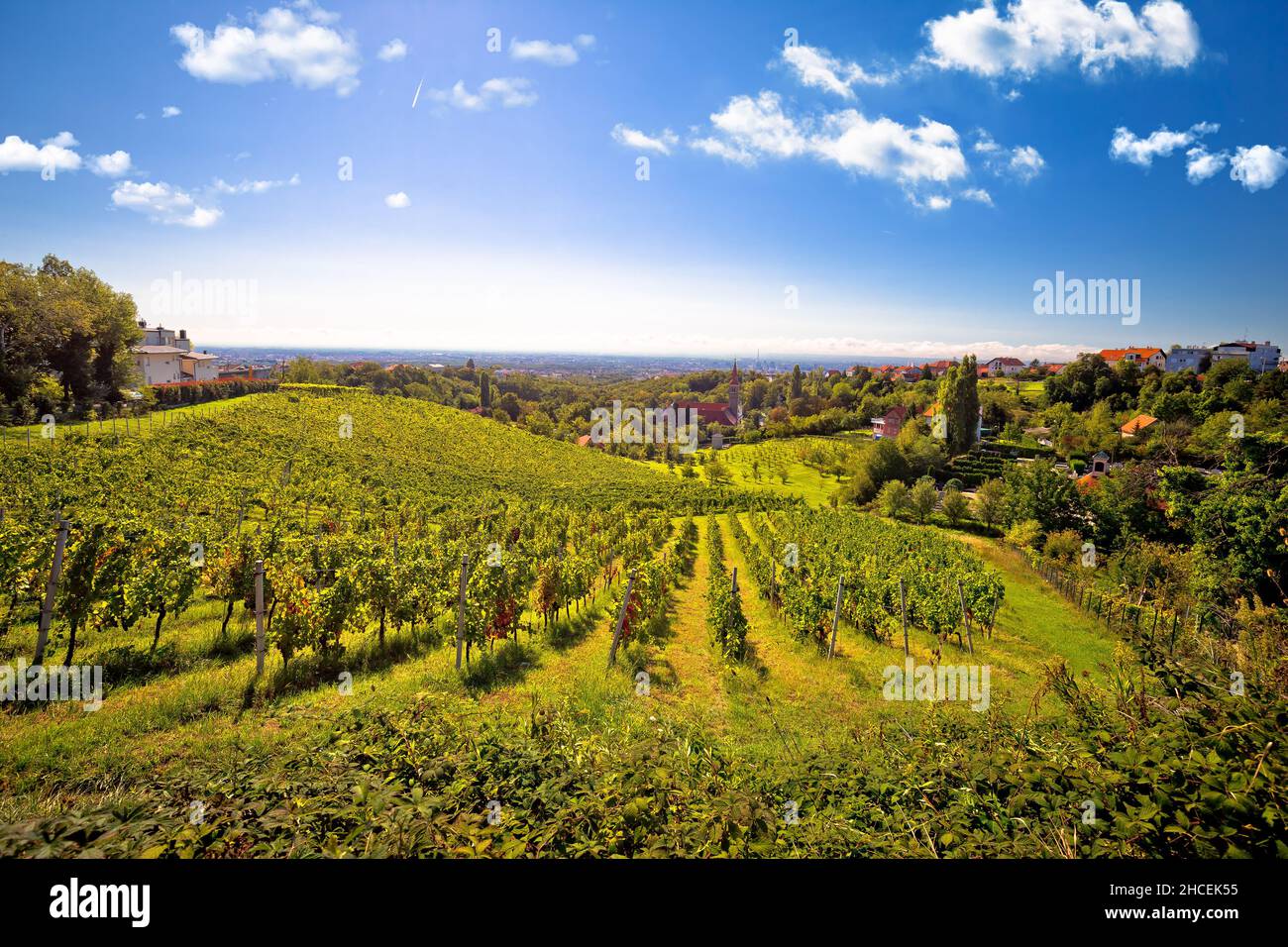 Zagabria zona verde. Chiesa e vigna sul verde collina sopra la capitale croata Zagabria, Remete, Croazia Foto Stock
