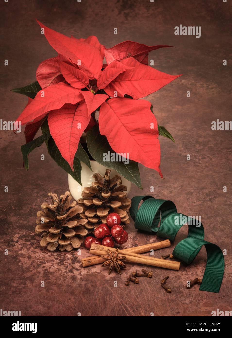 Poinsettia rossa con spezie e nastro verde, decorazione tavolo di Natale Foto Stock