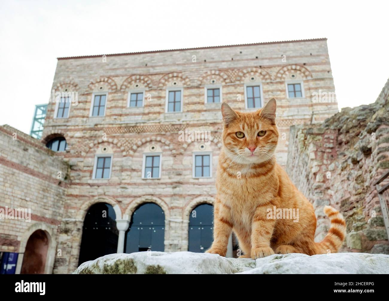 Istanbul, Istanbul, Turchia. 27th Dic 2021. Esterno del Palazzo Tekfur, un palazzo bizantino della fine del 13th nella parte nord-occidentale della città vecchia di Costantinopoli. (Credit Image: © Serkan Senturk/ZUMA Press Wire) Foto Stock