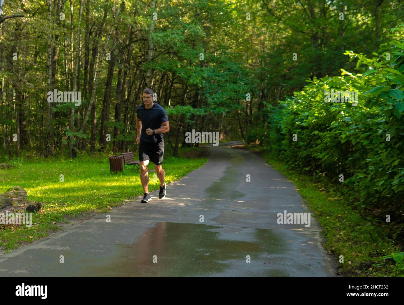 Un atleta uomo corre nel parco all'aperto, intorno alla foresta, querce erba verde giovane atleta permanente foresta sportiva, all'aperto giovane energia c Foto Stock
